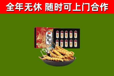 和硕县回收冬虫夏草价格